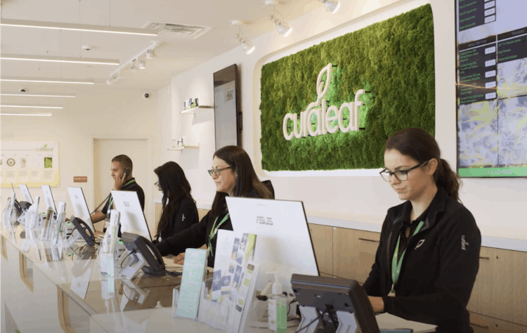 How Curaleaf Connects New Yorkers with Medical Cannabis image