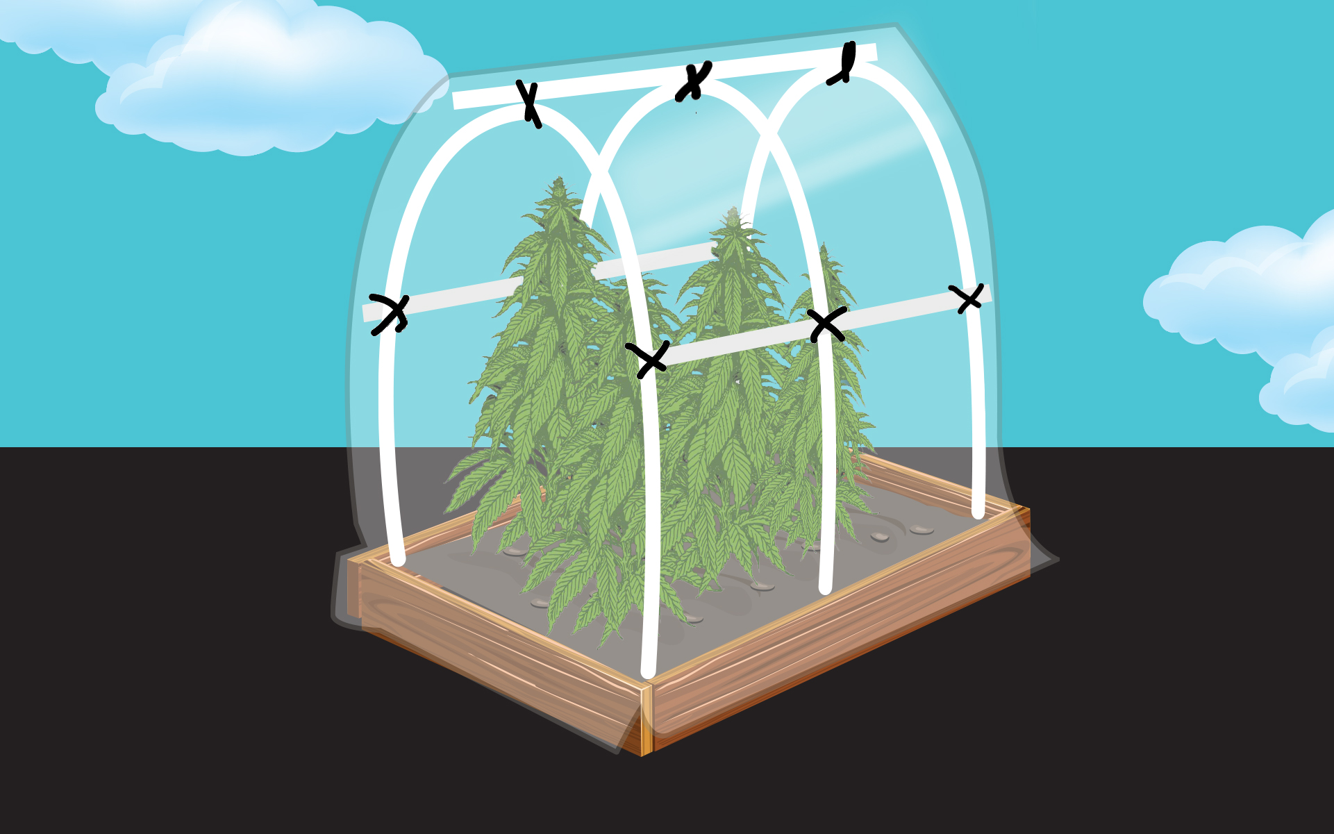 How to Build  a Cannabis Greenhouse  in Your Backyard Leafly