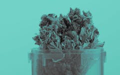 Cannabis Research Catching Up - header