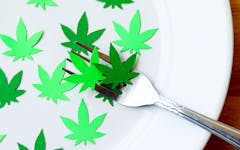 edibles fork plate