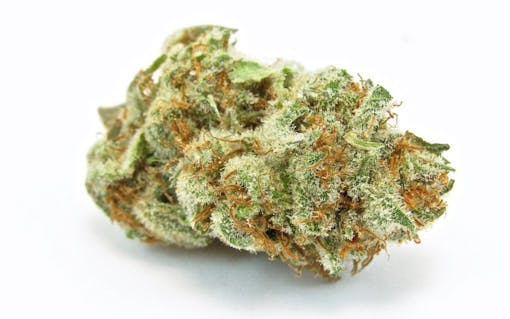 Best new marijuana strains - Banana Punch