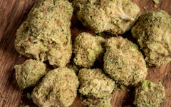 white widow marijuana strain