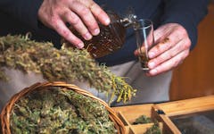 cannabis beverage liquor