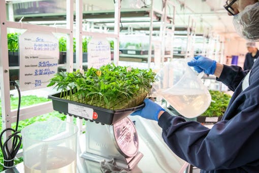 sundial growth facility