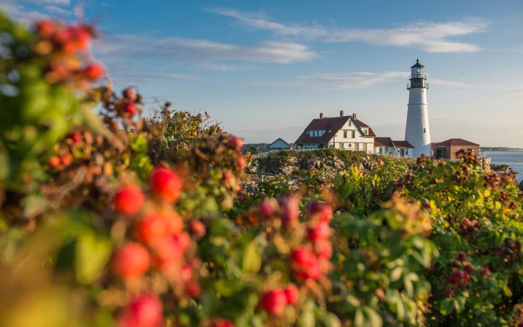 Maine cannabis store header image