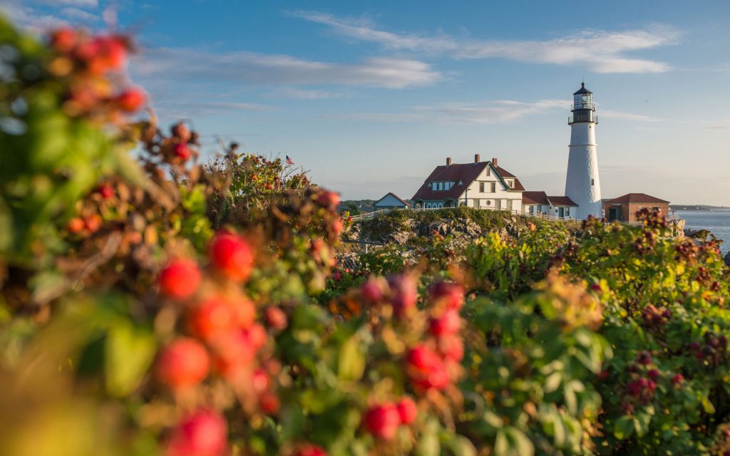 Maine Cannabis Stores header image