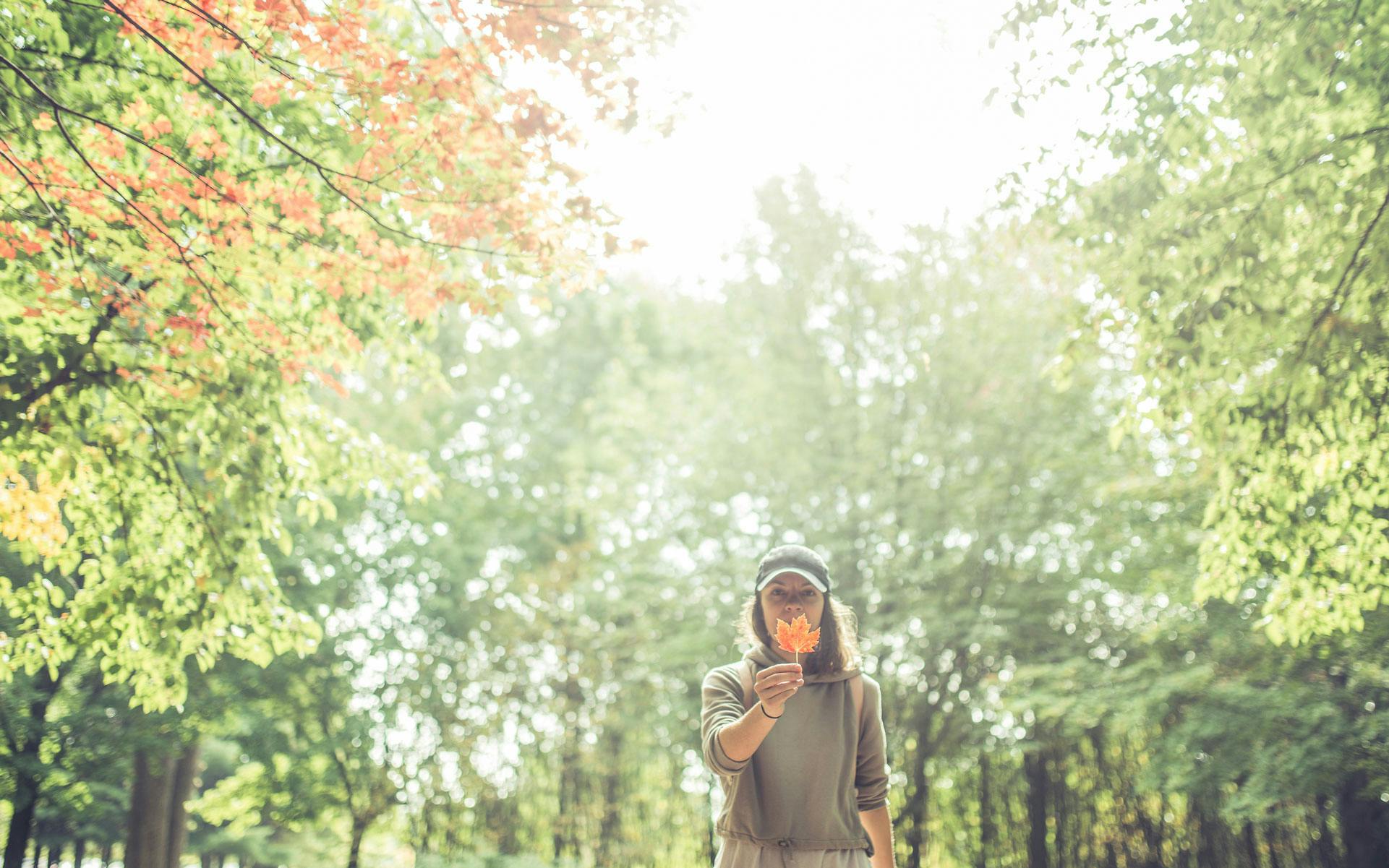 Leafly’s Guide to Cannabis in Ontario Cottage Country image