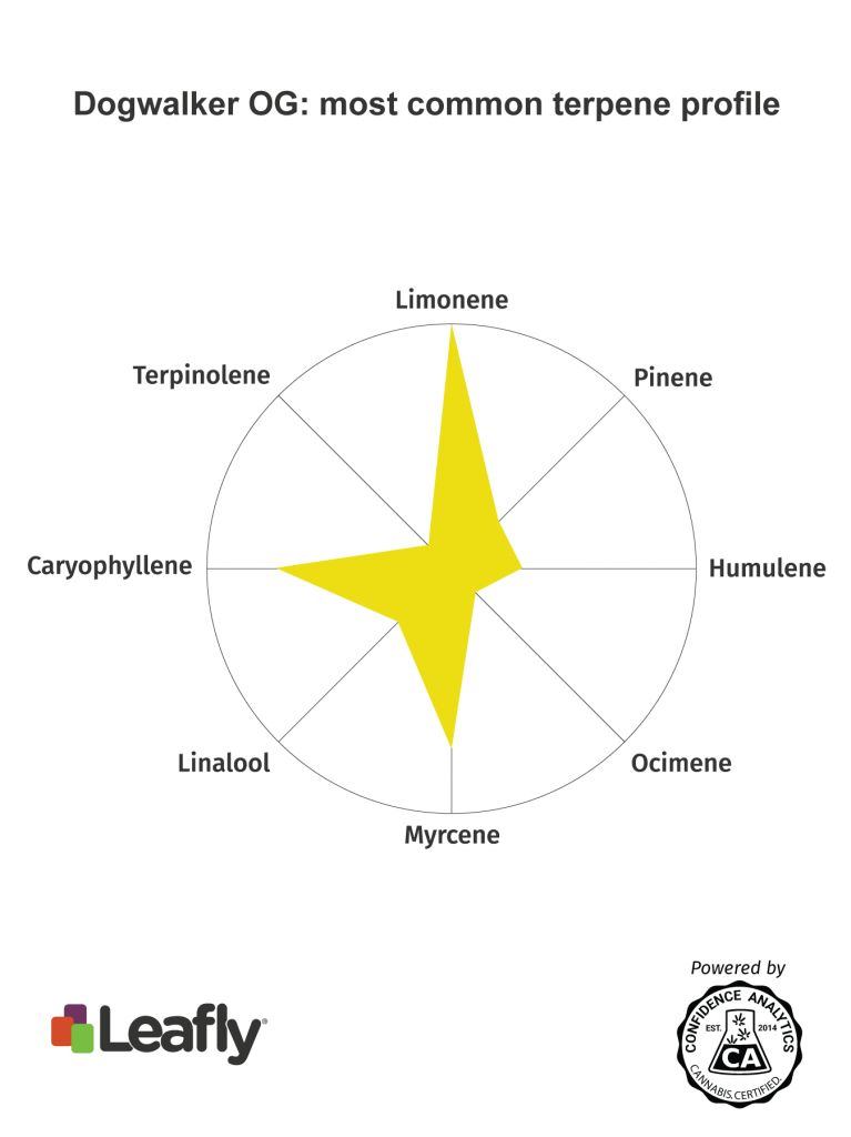 dogwalker og marijuana strain terpenes