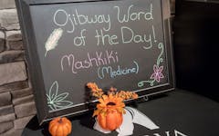 ojibway ojibwe plant medicine