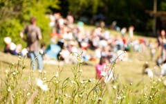 folk music festival calgary