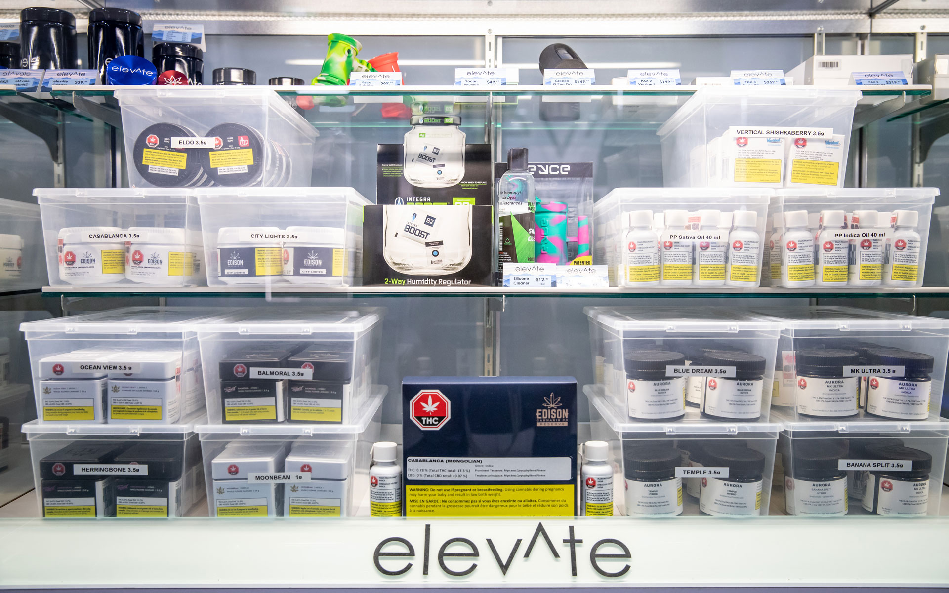 Elevate Edmonton