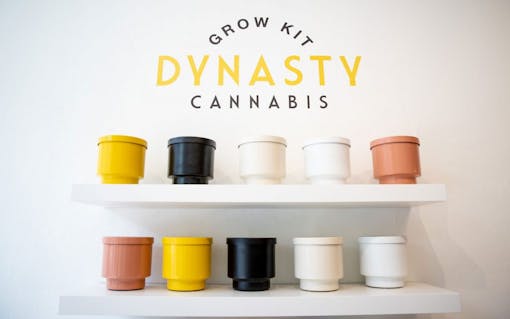 Dynasty Cannabis