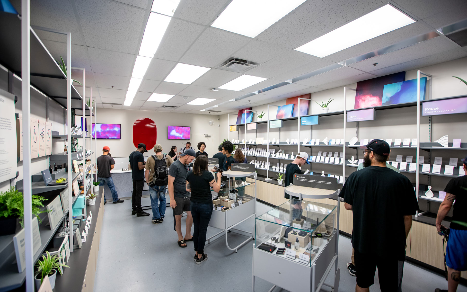 Cannabis Retail Guide: Tokyo Smoke, Oshawa