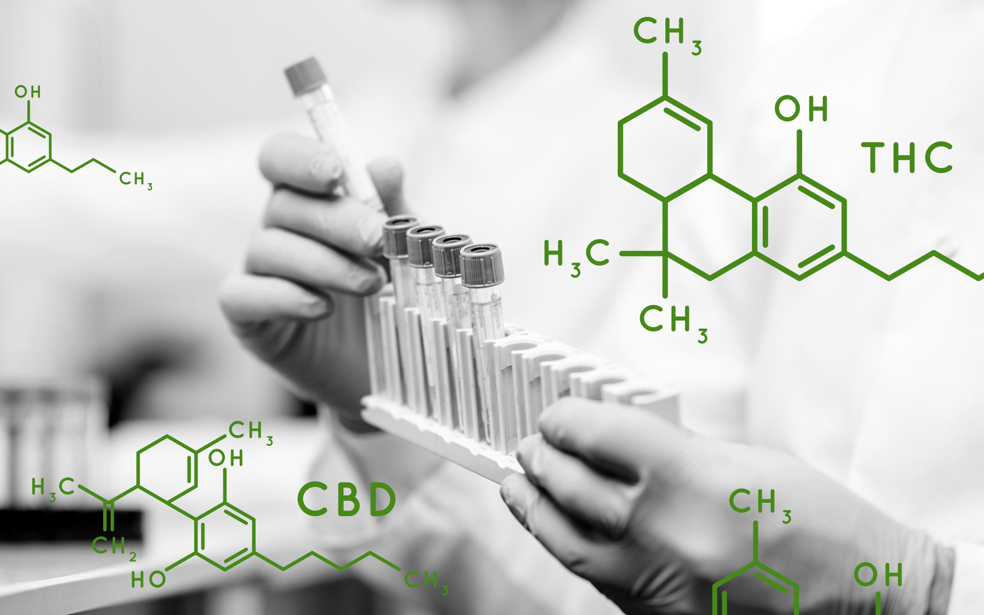 new york state weed drug test