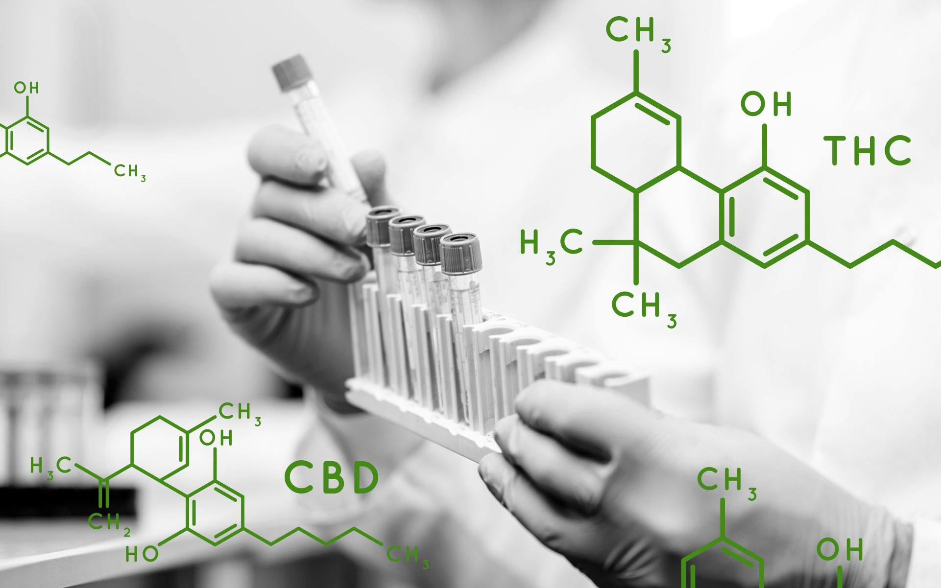 40% THC Flower?! Why Lab Shopping Persists in Legal Cannabis image