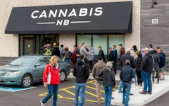cannabis nb line legal retail