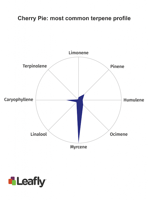 Cherry Pie marijuana strain terpenes