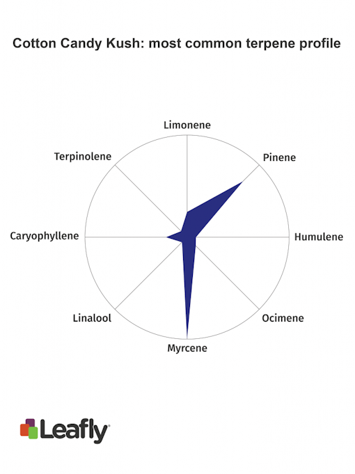 Cotton Candy Kush marijuana strain terpenes