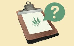 cannabis use survey, youth cannabis consumption