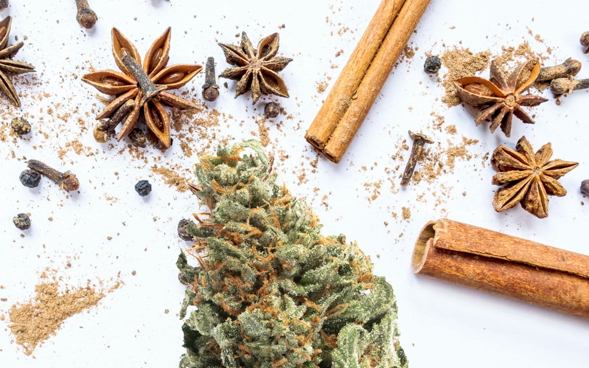 6 cannabis strains for people who love fall spice terpenes Leafly