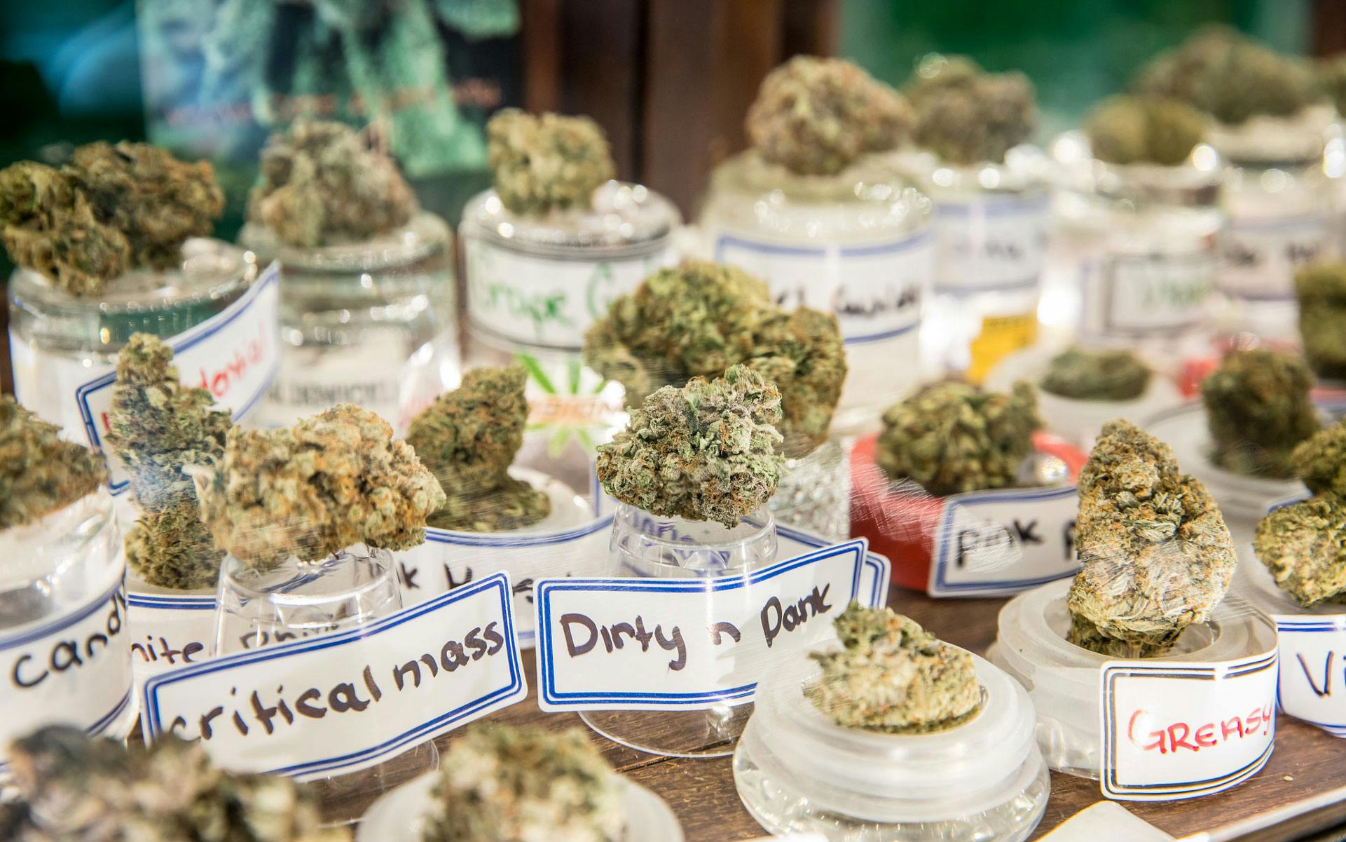 Medical Patients Still See Unlicensed Dispensaries as Superior
