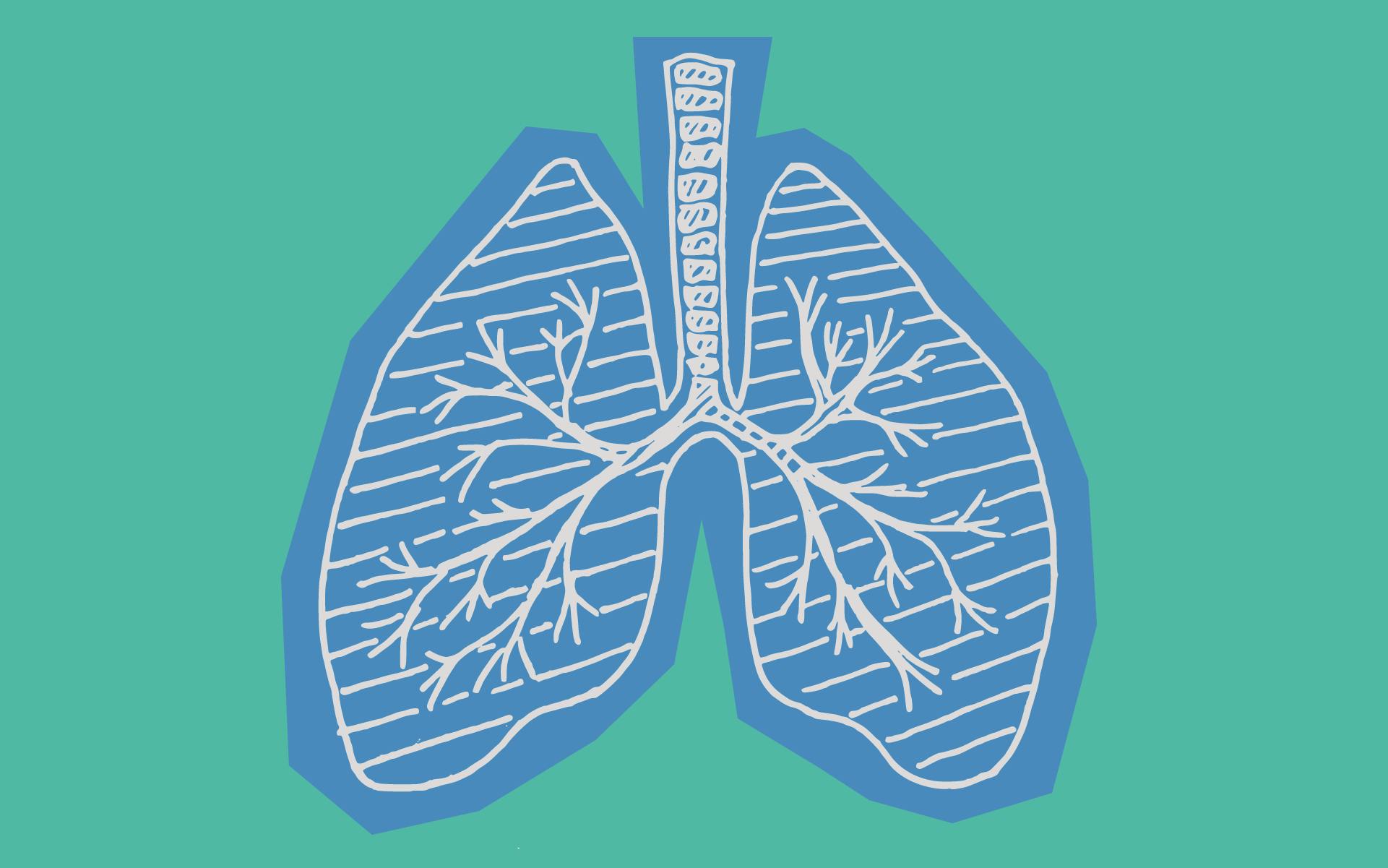 The RollUp 102 Fart carts will break your lungs