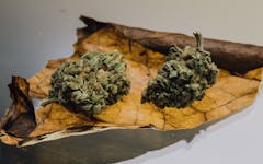 blunts, tobacco paper, cannabis