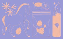 Cannabis Events Alberta