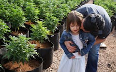 charlotte's web hemp strain header image