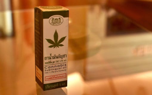 thai cannabis oil