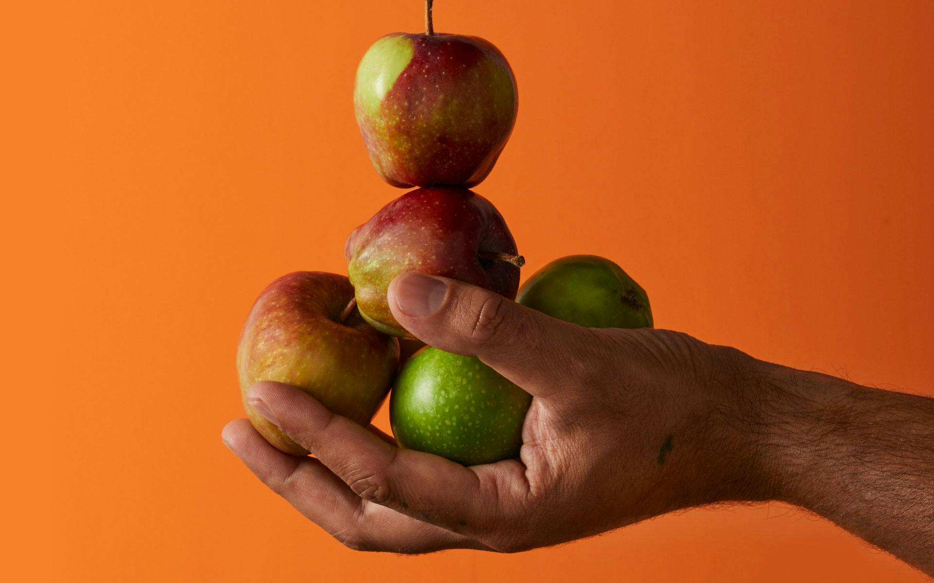 What is terpinolene & what are its benefits? image