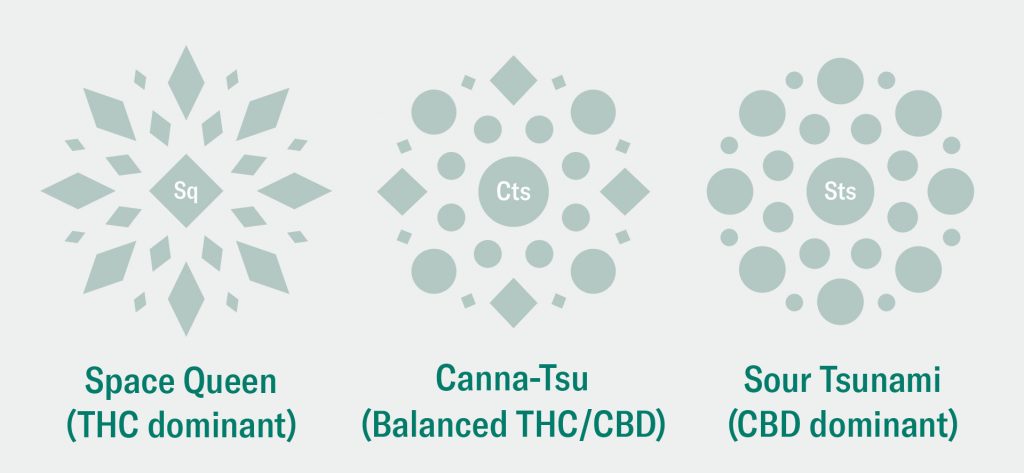 thc dominant vs balanced thc cbd vs cbd dominant