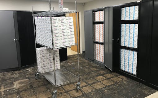 kushy punch bust photos