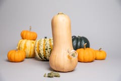 Butternut squash gourd bong pipe