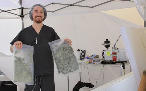 A Utopia Cannabis technician holds up bags of fresh-frozen cannabis. (Courtesy of Utopia Cannabis)
