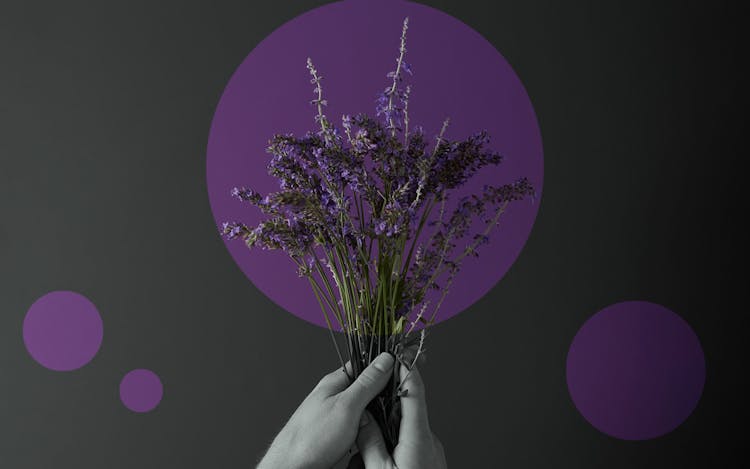 How to try the top cannabis terpenes in Nevada image