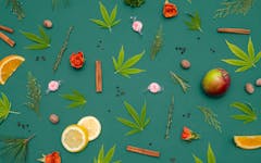 terpenes and cannabis leaves
