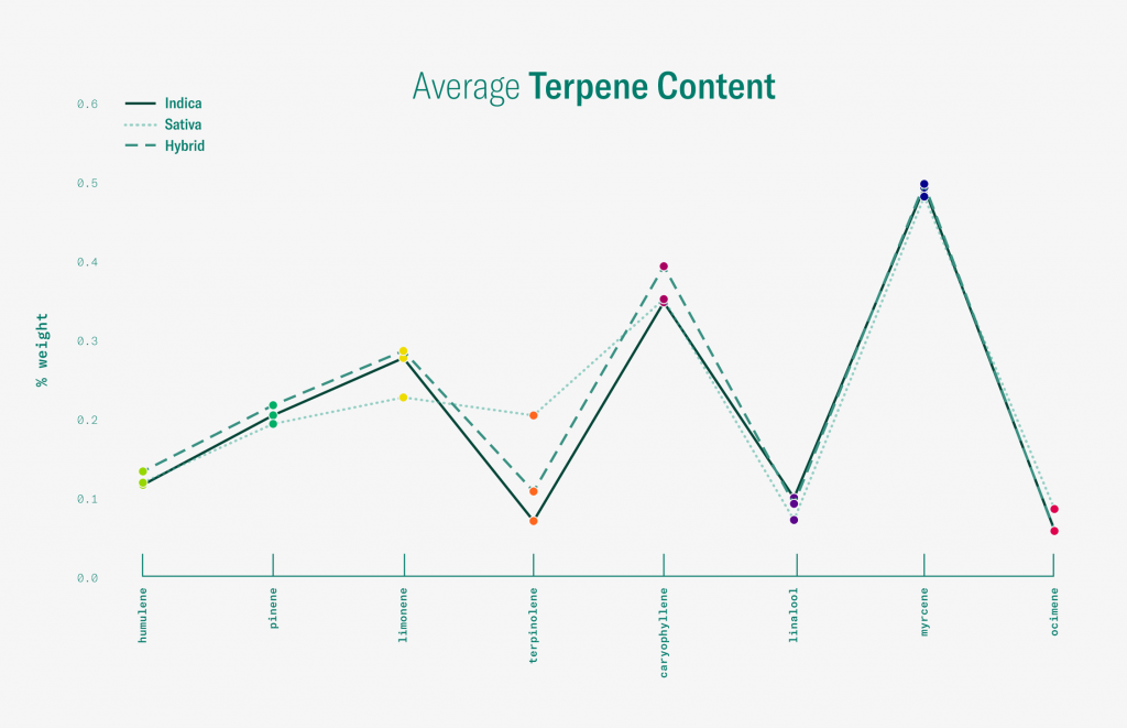 terpenes in marijuana strains