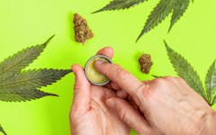 cannabis topicals ingredients; finger in topical with cannabis leaves in background