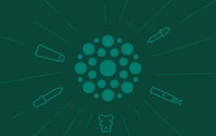 Guide to CBD and CBD products