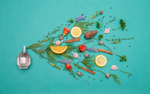 Leafly terpenes fragrance perfume; perfume bottle spraying aromatic plants