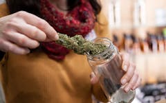 michigan marijuana sales opening