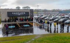 cannabis new brunswick
