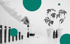 cbd potency, marijuana, lab analysis