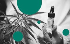 cbd potency, marijuana, lab analysis