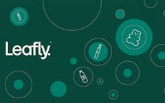 cbd potency, marijuana, lab testing