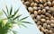 Cbd from hemp vs cannabis