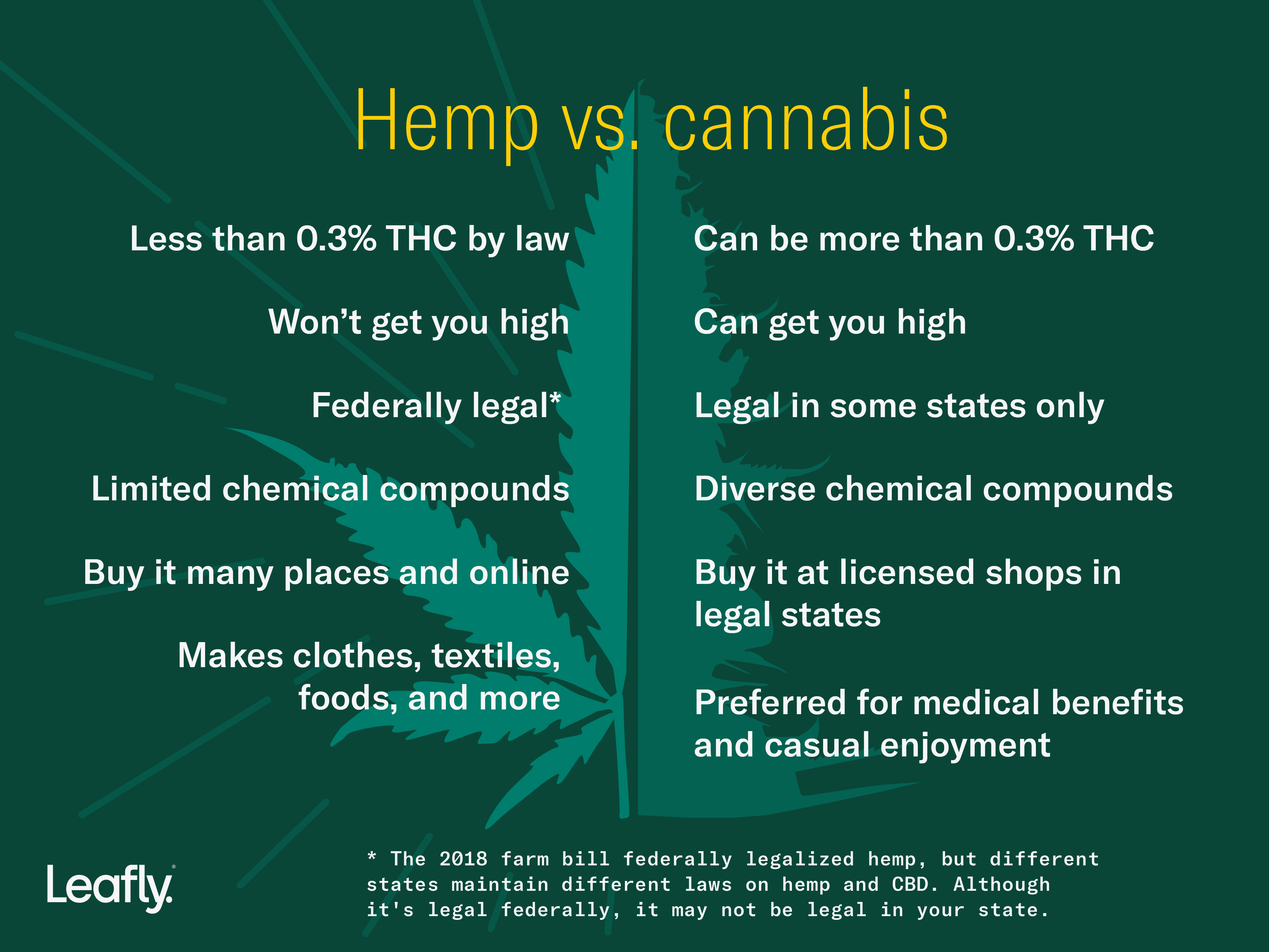 Truth + Misconceptions About Hemp Oil