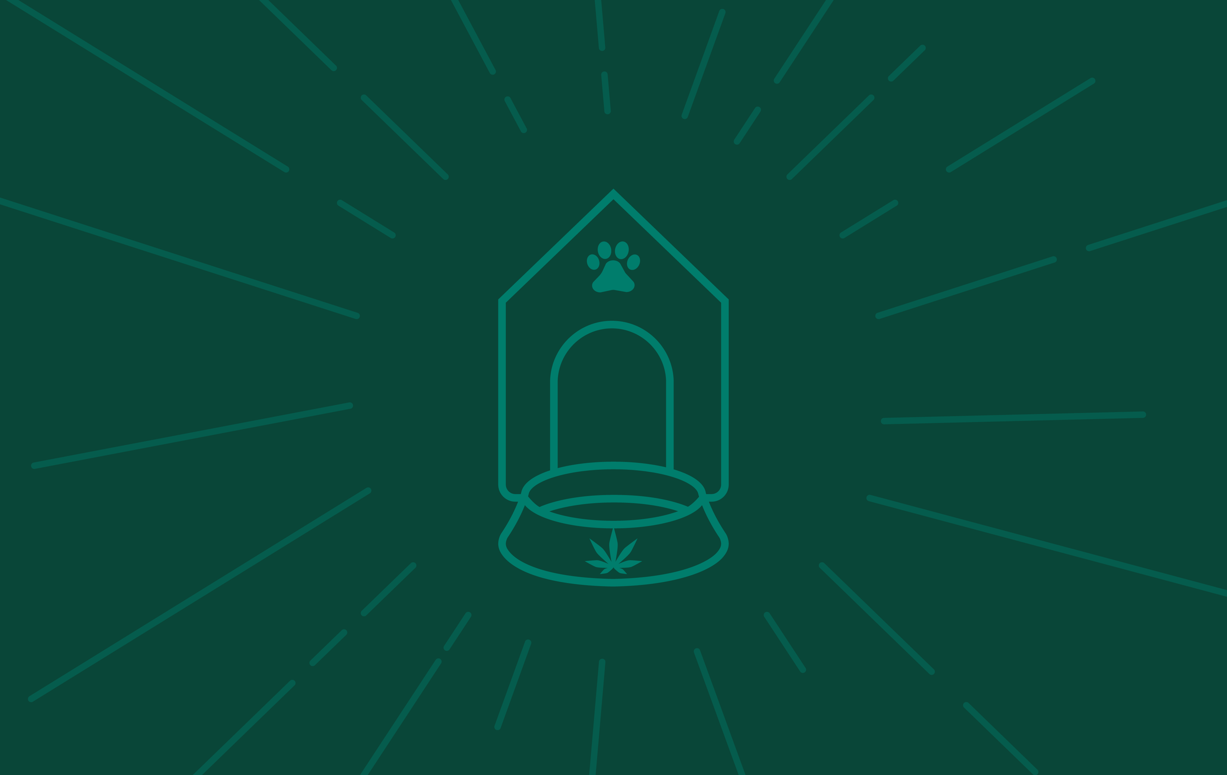 CBD safe for pets