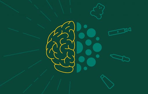 can CBD make you feel high